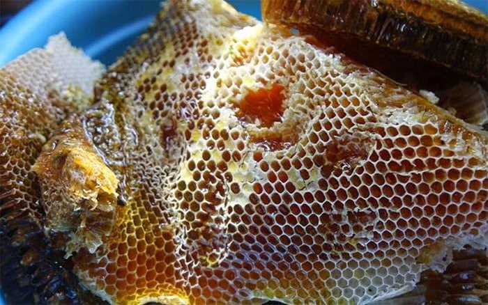 Le miel de menthe Ha Giang